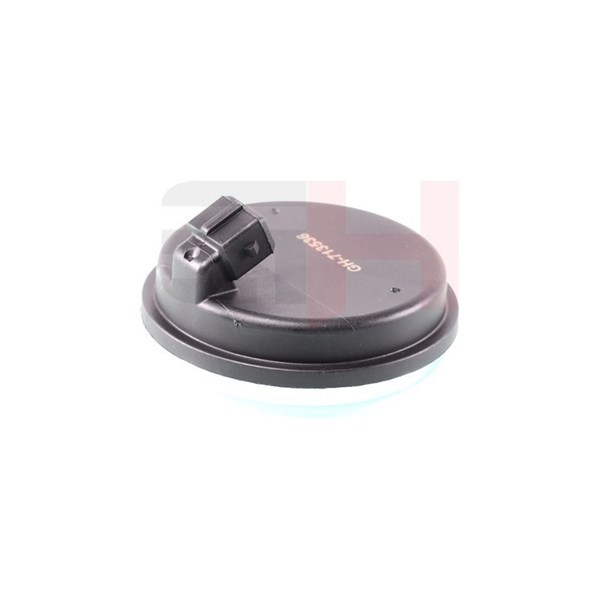 ABS-givare, Sensor, hjulvarvtal, Bakaxel, Bakaxel höger, Bakaxel GH ABS-givare, Sensor, hjulvarvtal, Bakaxel, Bakaxel höger, Bakaxel GH