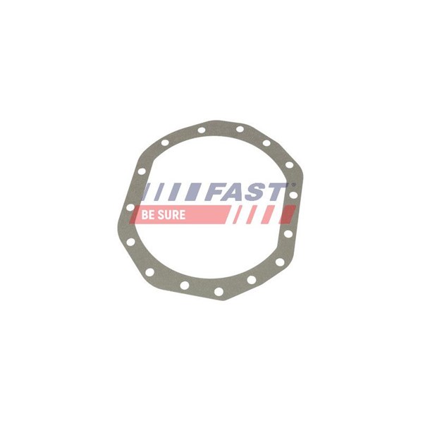 Packning, differential Fast FT48301 FAST
