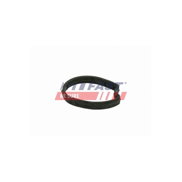 Packning, termostathus Fast FT58301 FAST