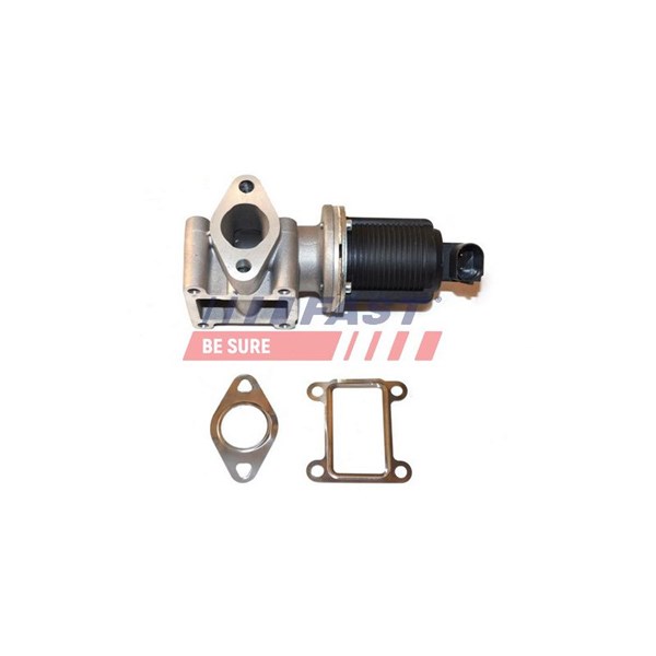 Egr-ventil 12V Fast FT60239 FAST