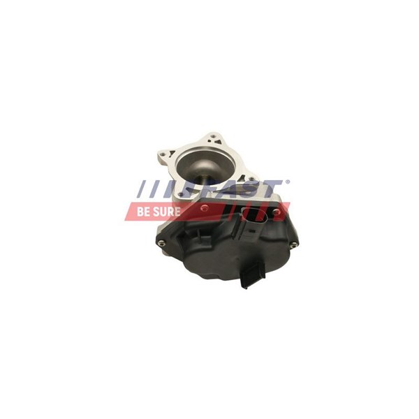 Egr-ventil Fast FT60241 FAST