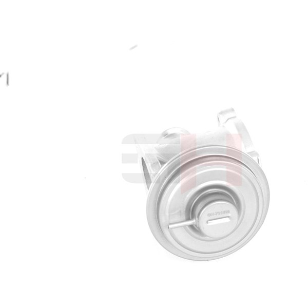 Egr-ventil Gh GH-731560 GH