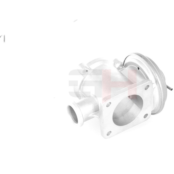 Egr-ventil Gh GH-731560 GH