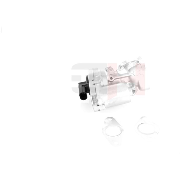 Egr-ventil Gh GH-731960 GH