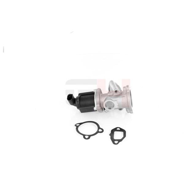 Egr-ventil Gh GH-732344 GH
