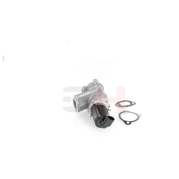 Egr-ventil Gh GH-732344 GH