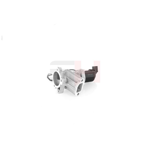 Egr-ventil Gh GH-732344 GH