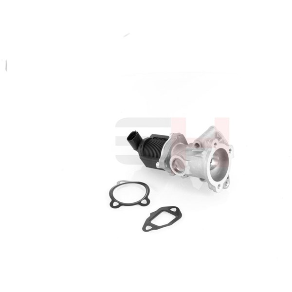 Egr-ventil Gh GH-732344 GH