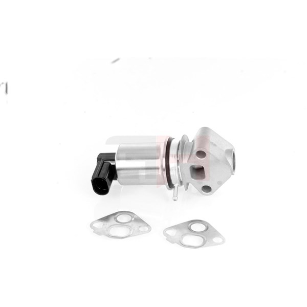 Egr-ventil Gh GH-732506 GH