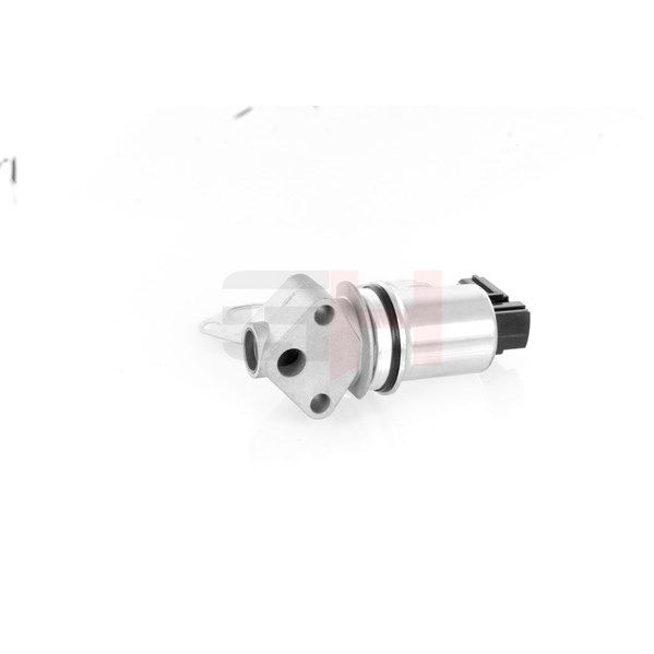Egr-ventil Gh GH-732506 GH