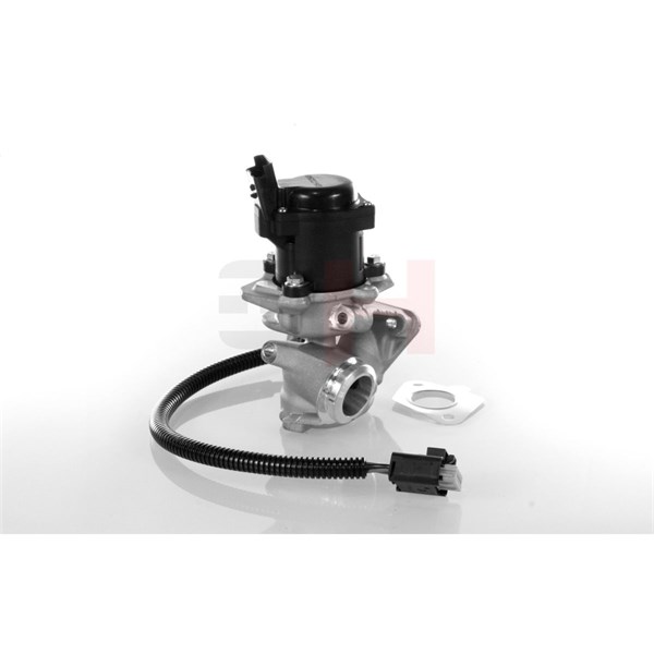 Egr-ventil Gh GH-732566 GH