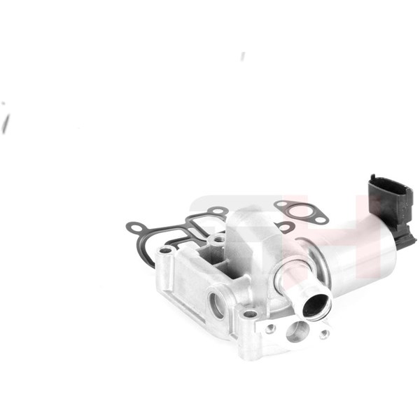 Egr-ventil Gh GH-733602 GH