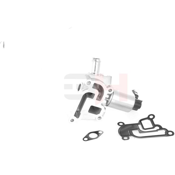 Egr-ventil Gh GH-733640 GH