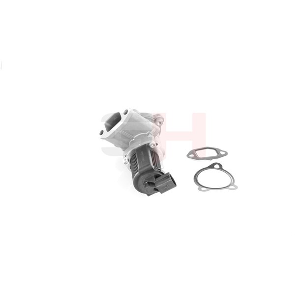 Egr-ventil Gh GH-733641 GH