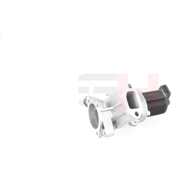 Egr-ventil Gh GH-733641 GH