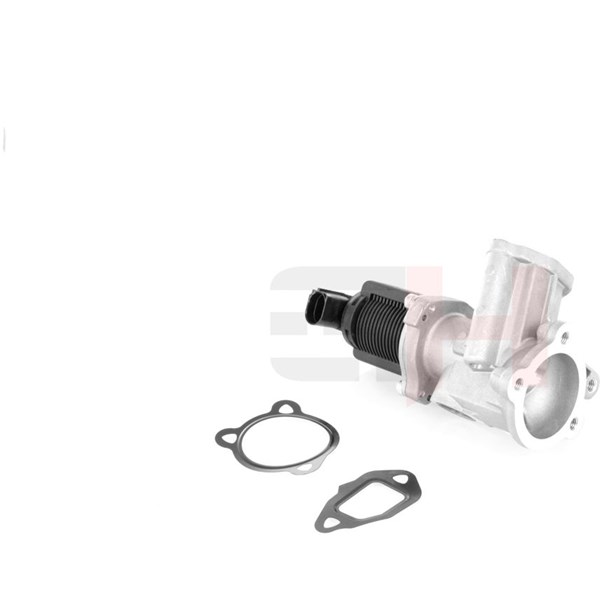 Egr-ventil Gh GH-733641 GH