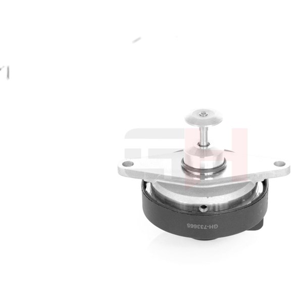 Egr-ventil Gh GH-733665 GH