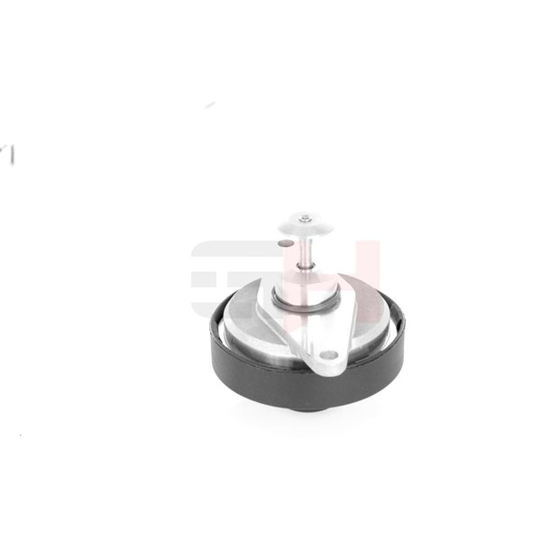 Egr-ventil Gh GH-733665 GH