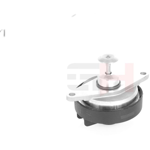 Egr-ventil Gh GH-733665 GH