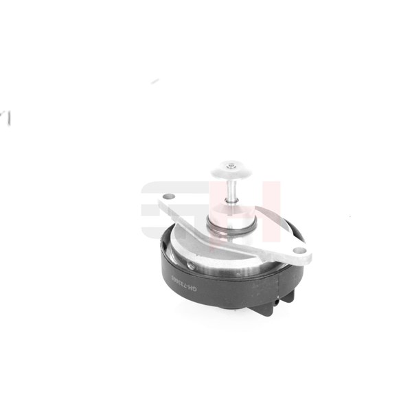 Egr-ventil Gh GH-733665 GH