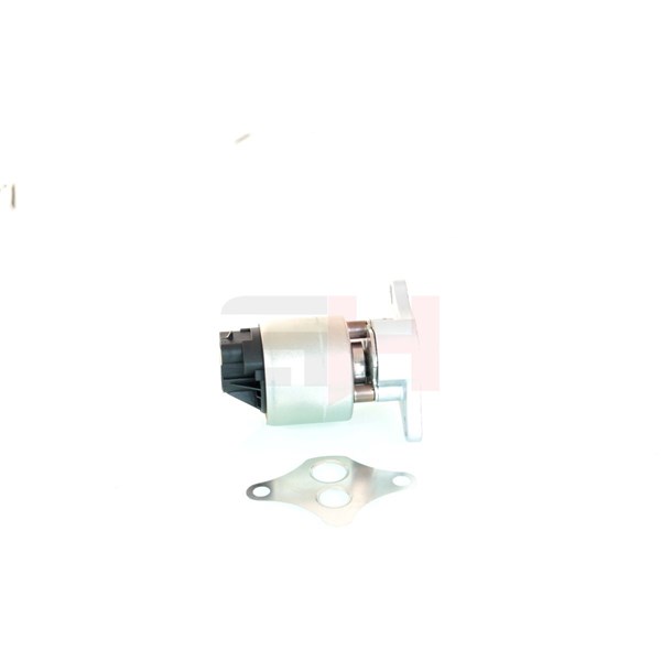 Egr-ventil Gh GH-733666 GH