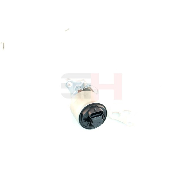 Egr-ventil Gh GH-733666 GH