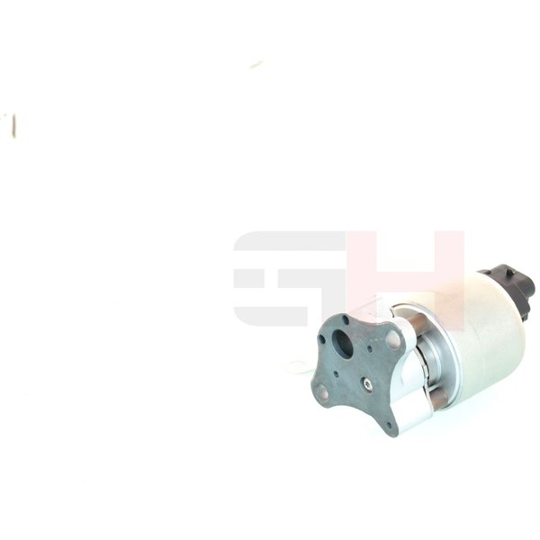Egr-ventil Gh GH-733666 GH