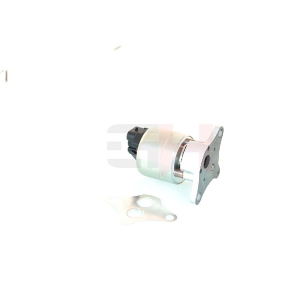 Egr-ventil Gh GH-733666 GH