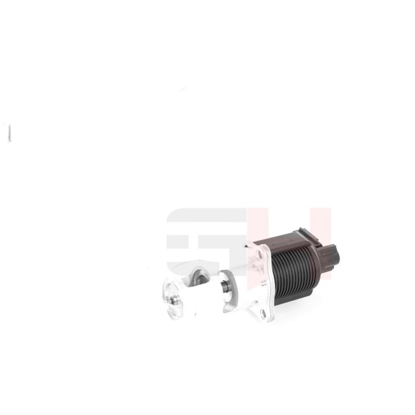 Egr-ventil Gh GH-733910 GH