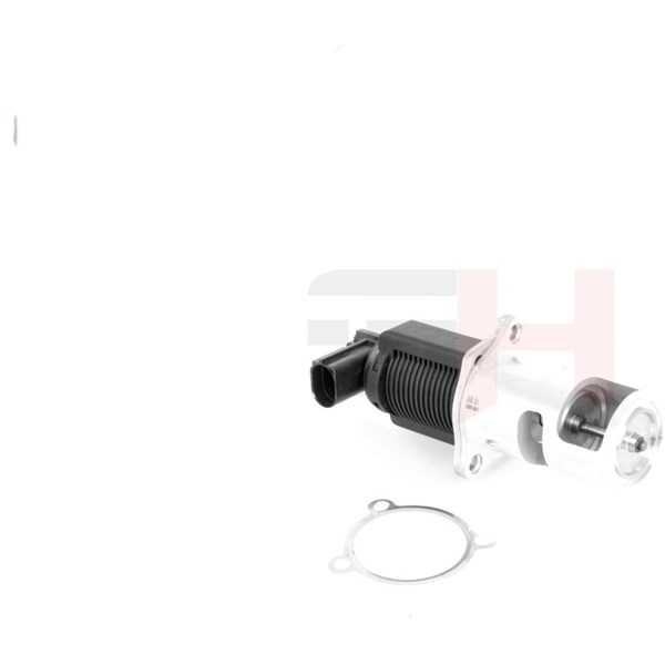 Egr-ventil Gh GH-733910 GH