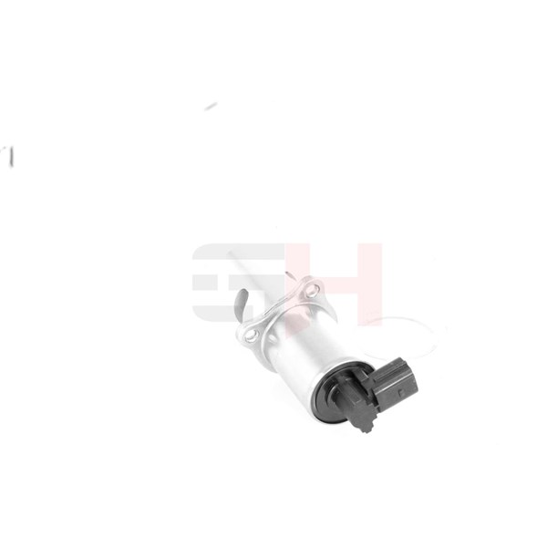 Egr-ventil Gh GH-733967 GH