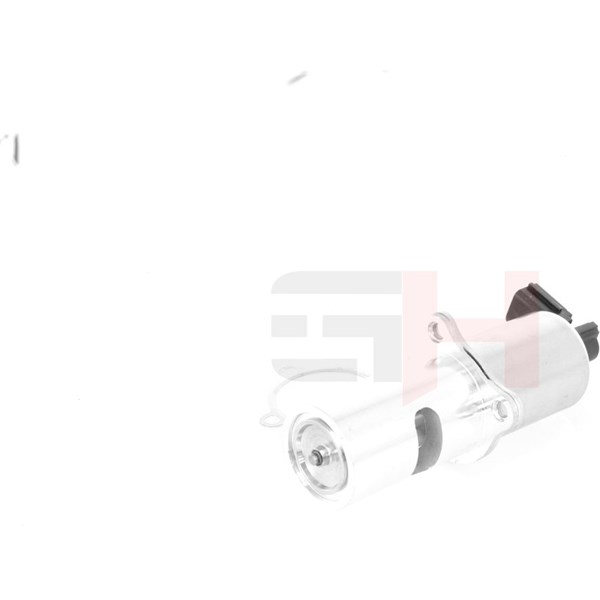 Egr-ventil Gh GH-733967 GH