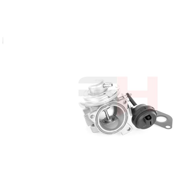 Egr-ventil Gh GH-734368 GH