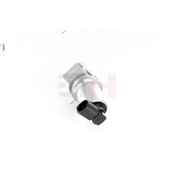 Egr-ventil Gh GH-734369 GH