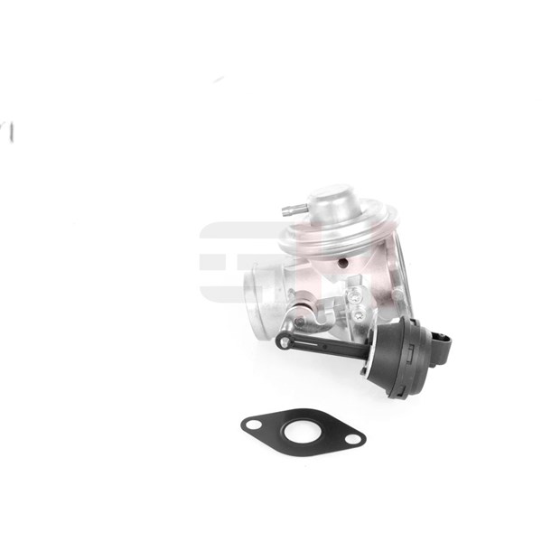 Egr-ventil Gh GH-734702 GH