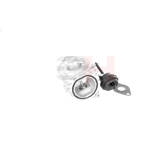 Egr-ventil Gh GH-734712 GH