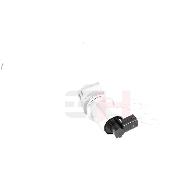 Egr-ventil Gh GH-734713 GH