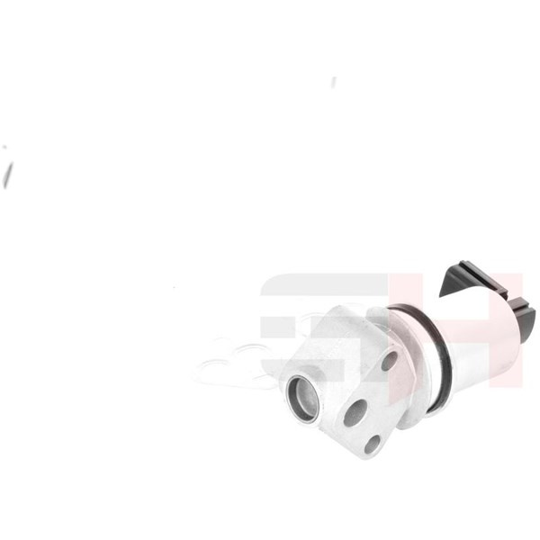 Egr-ventil Gh GH-734713 GH