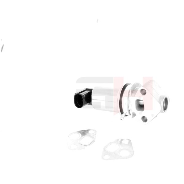 Egr-ventil Gh GH-734713 GH