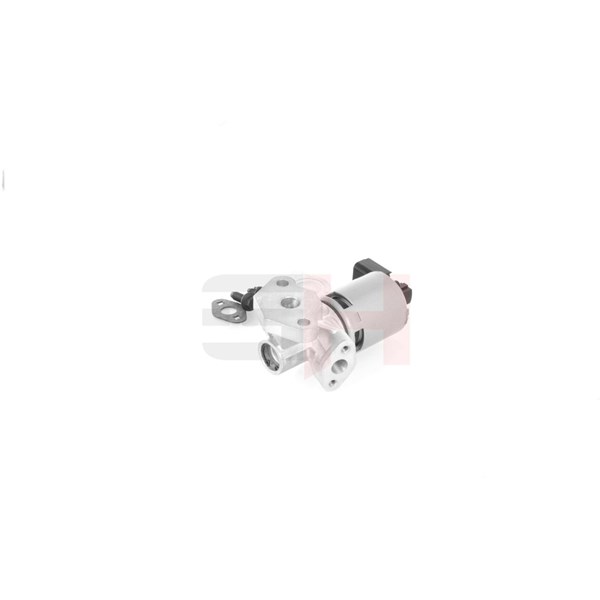 Egr-ventil Gh GH-739308 GH