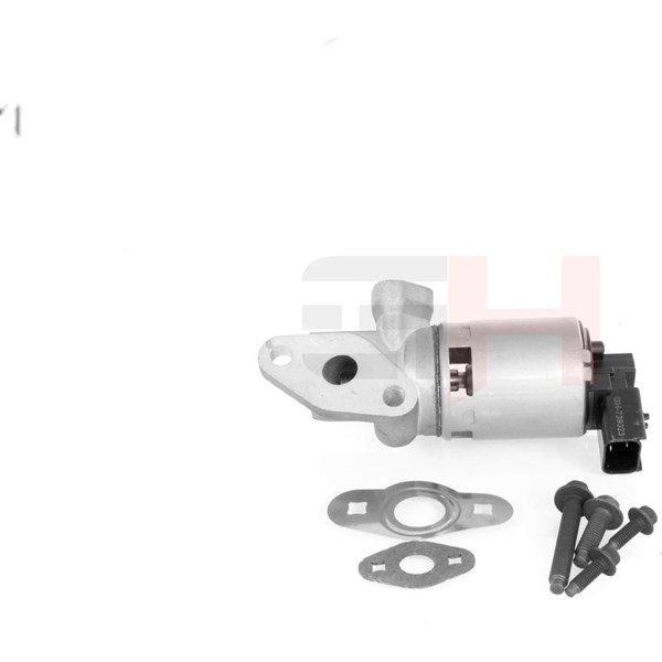 Egr-ventil Gh GH-739323 GH