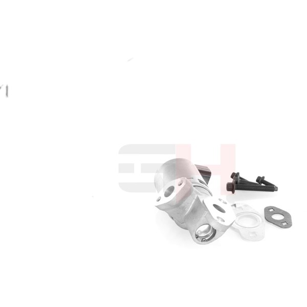 Egr-ventil Gh GH-739323 GH