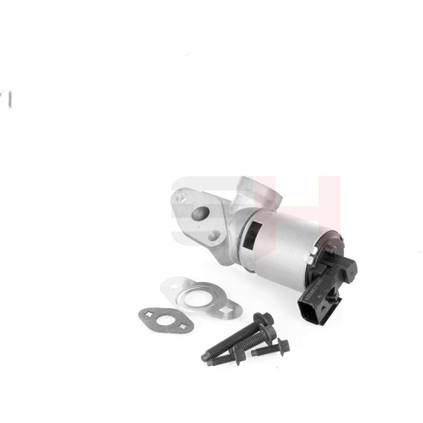 Egr-ventil Gh GH-739323 GH