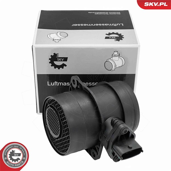 Luftmassemätare 12V Esen skv 07SKV310 ESEN SKV