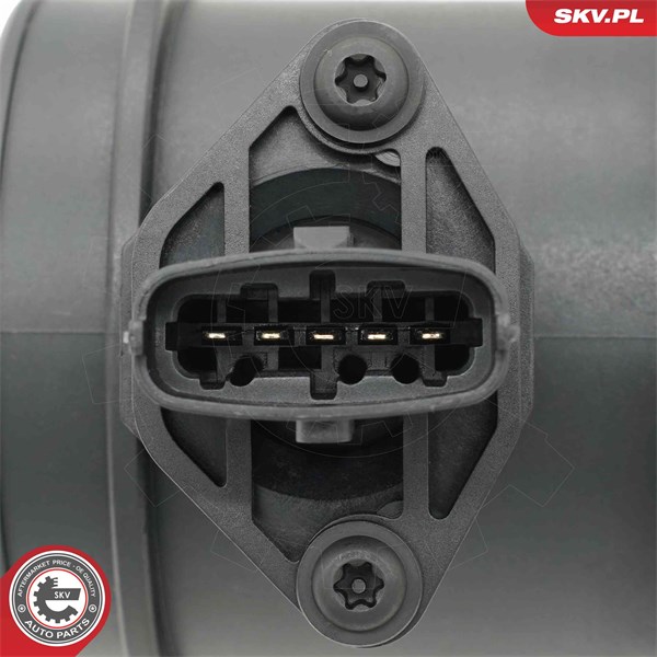 Luftmassemätare 12V Esen skv 07SKV316 ESEN SKV