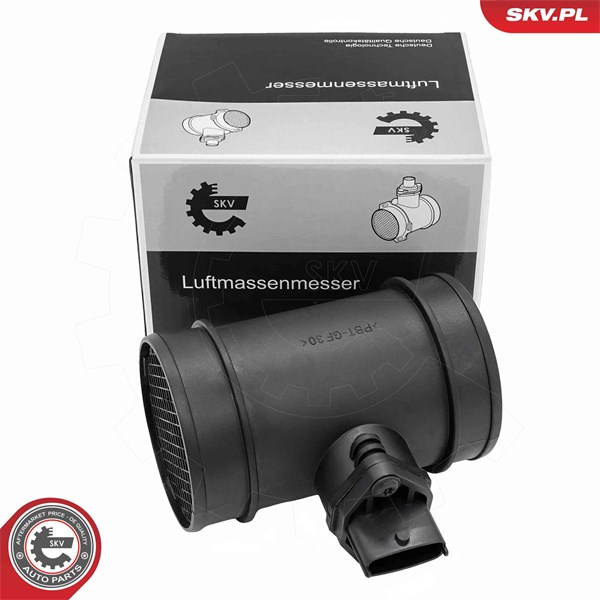 Luftmassemätare 12V Esen skv 07SKV317 ESEN SKV