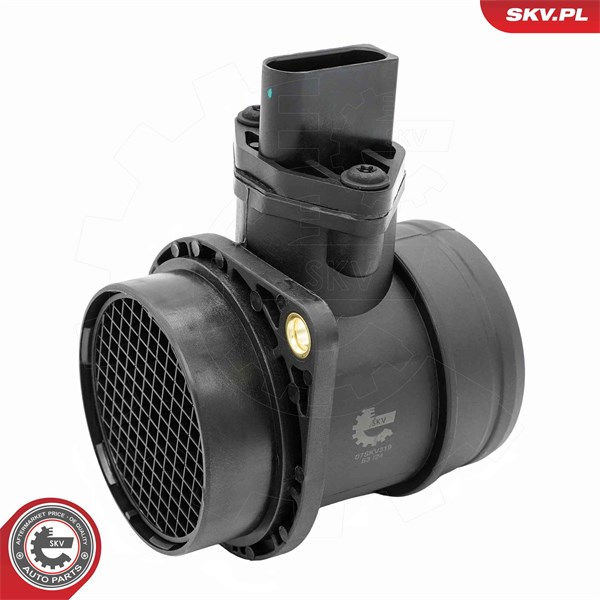 Luftmassemätare 12V Esen skv 07SKV319 ESEN SKV