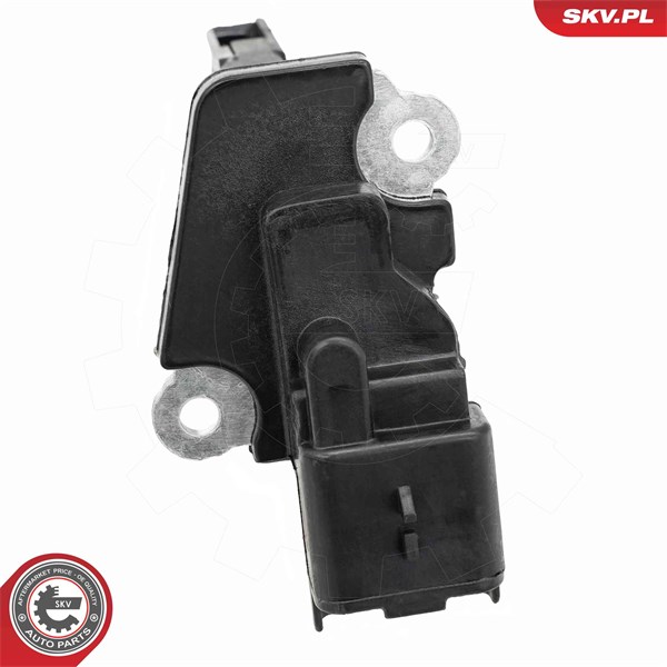 Luftmassemätare 12V Esen skv 07SKV336 ESEN SKV