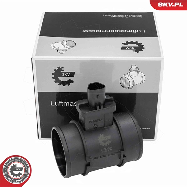 Luftmassemätare 12V Esen skv 07SKV387 ESEN SKV