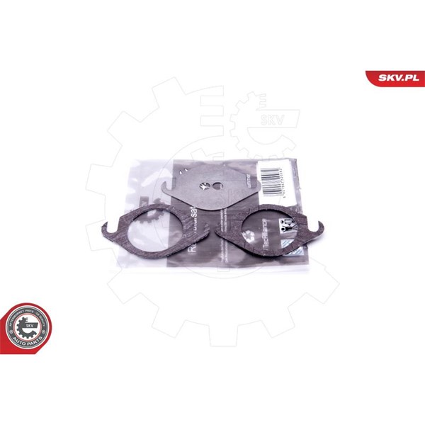 Reparationssats, EGR-ventil Esen skv 14SKV503 ESEN SKV